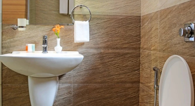 Номер Deluxe с балконом Regenta Place Green Leaf Mahabaleshwar