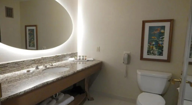 Четырёхместный номер Standard Moody Gardens Hotel Spa and Convention Center