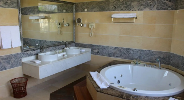 Люкс Deluxe Madagascar Golden Peacock Hotel