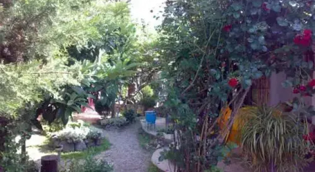 Guest House Paradise Garden