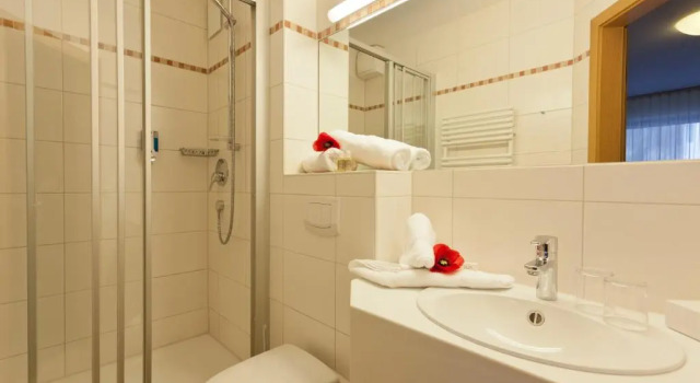 Двухместный номер Comfort Hotel Alpenstuben