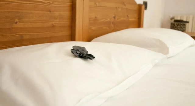 Casa Ciuca, Buchen Sie Hotel Bard Aostatal