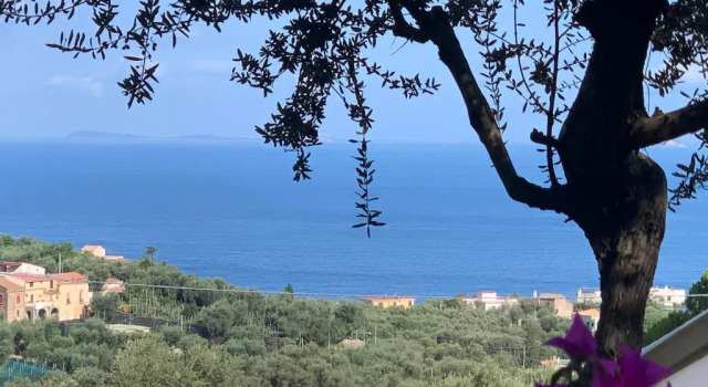 Одноместный номер Standard Villa Giovanna