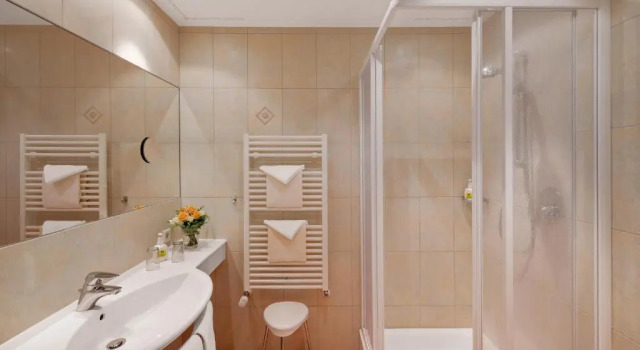 Одноместный номер Standard Pfalzhotel Asselheim