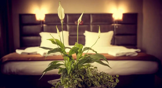Номер Deluxe Zdravets SPA Hotel