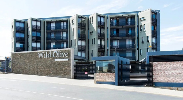 Wild Olive 11