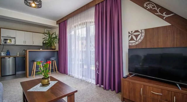 Люкс Apartamenty Zakopane U Kośle 2