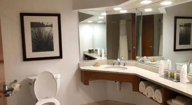 Люкс Wyndham Garden Buffalo Downtown