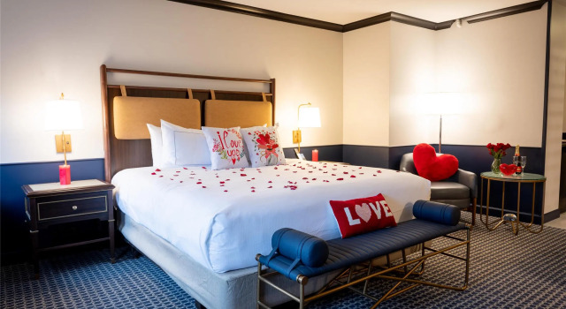 Двухместный номер Standard Hilton Orrington/Evanston