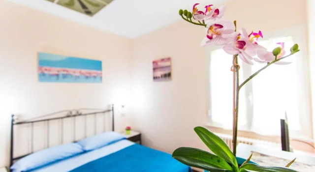 Апартаменты Цокольный этаж Residence Kimba