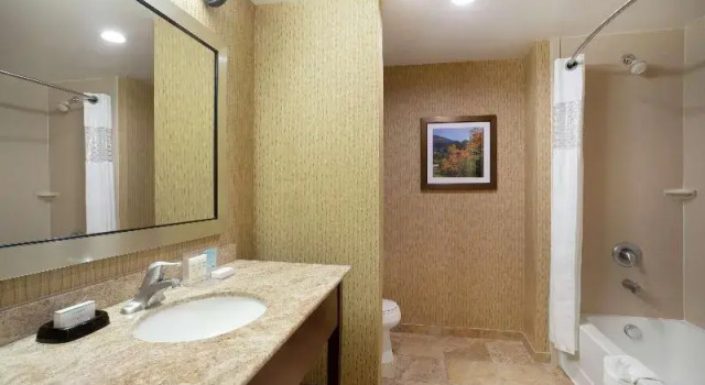 Шестиместный номер Standard Hampton Inn and Suites Denver/South-RidgeGate