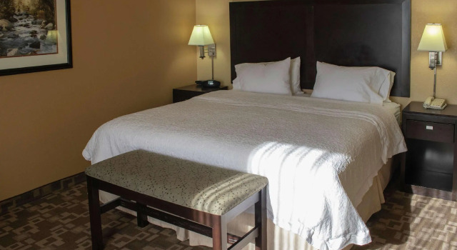 Двухместный номер Standard Hampton Inn & Suites-Knoxville/North I-75