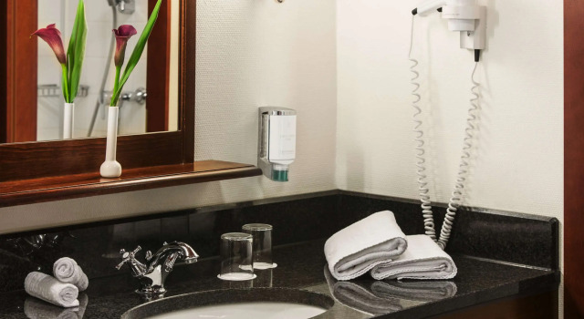 Двухместный номер Standard Steigenberger Hotel Deidesheim