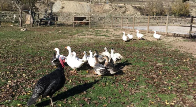 Коттедж Casa Rural Concejos