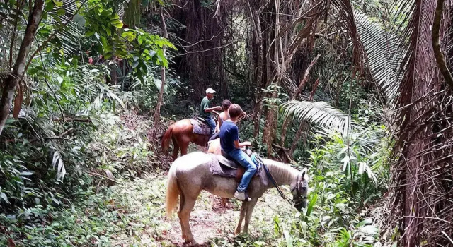 Belize Botanic Gardens' Cottages and Jungle Guest House, Book Guesthouse Hotels in Cayo with Parking, Parking