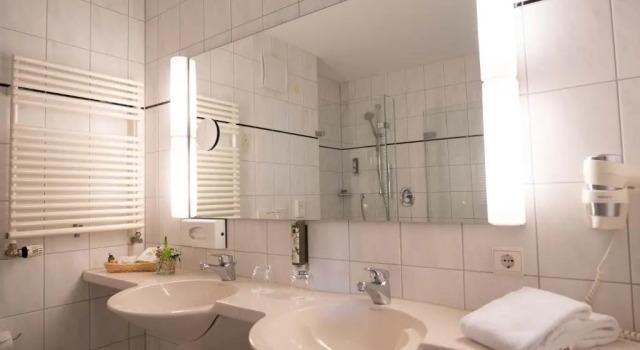 Двухместный номер Standard с видом на озеро Parkhotel St.Leonhard