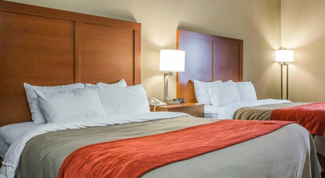 Четырёхместный номер Standard Comfort Inn Walcott near Davenport