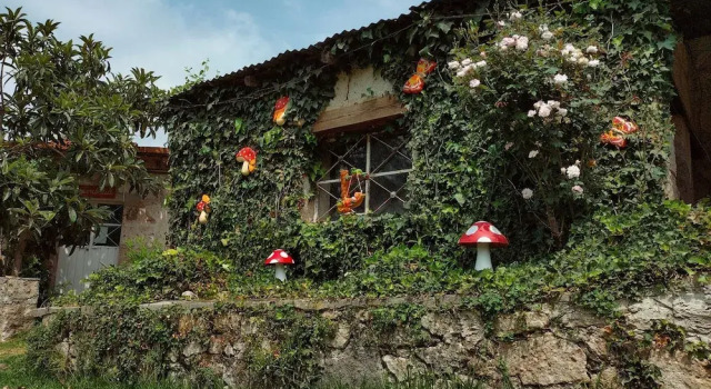 Hotel Las Palmas By GEstores, Prenota Hotel Huasca de Ocampo Hidalgo