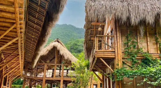 Hotel Bambú Tayrona, Buchen Sie Hotel La Revuelta Kolumbien