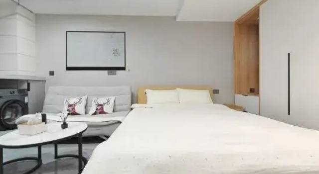 Люкс Deluxe Yangyu Homestay (Wuchang Railway Station Wushang Dream Era Branch)