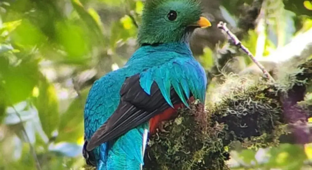 El Manantial Lodge, Prenota Hotel Orosí Cartago