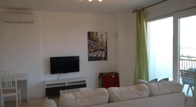 Апартаменты c 1 комнатой Apartments Viskovic