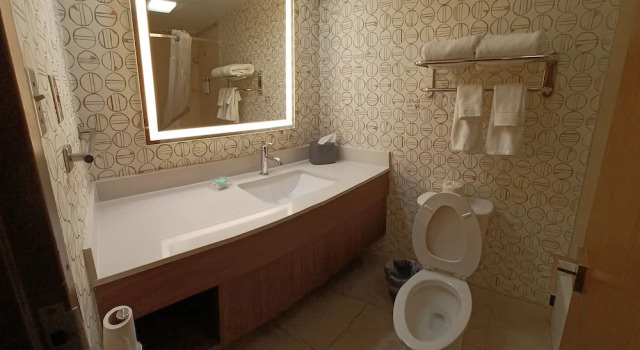 Двухместный люкс Holiday Inn - McAllen - Medical Center Area by IHG