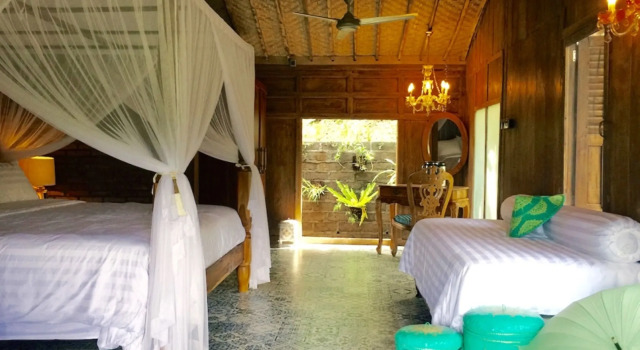 Bali Lush
