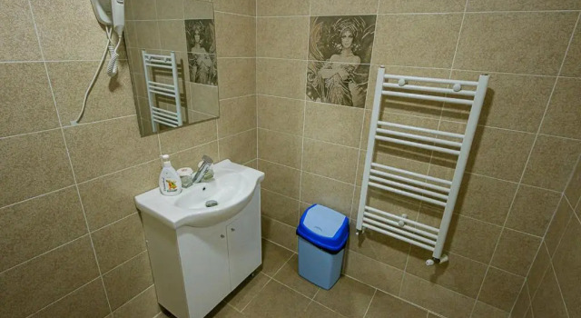 Номер Standard Casa Domneasca Riana