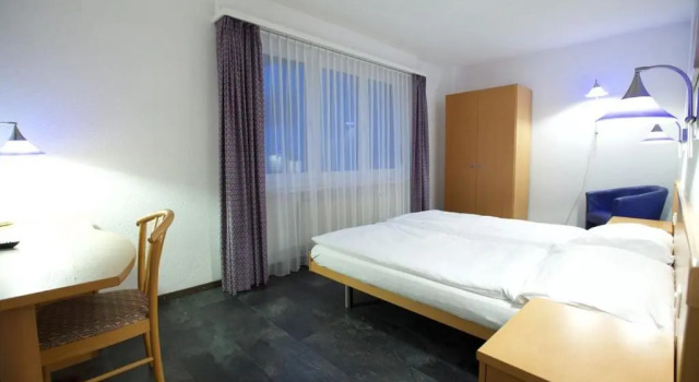 Одноместный номер Hotel Europe Brig