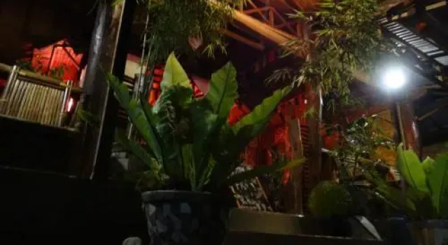 Terimakasih Bar and Guesthouse, Rezervovat Penzión Hotely v Gotong Royong se snídaní, Snídaně