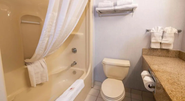 Номер Standard Comfort Hotel & Suites