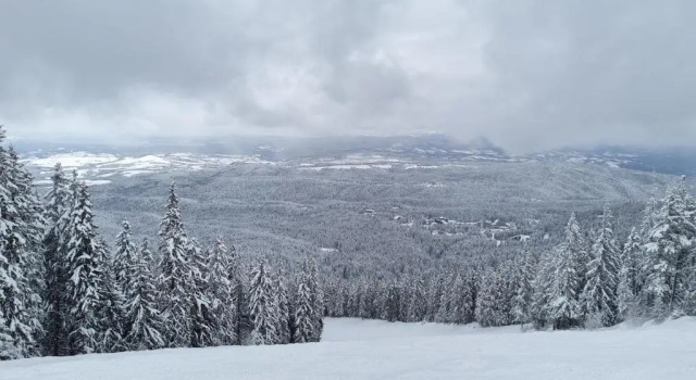 Студия Borovets Hills Apartments - Studio 33