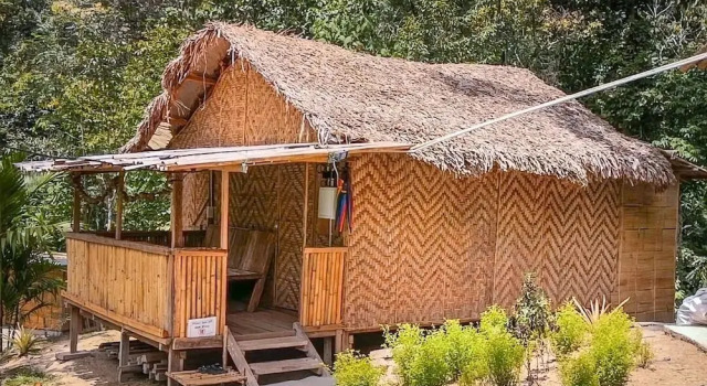 Dağ evi Rain Forest Inn