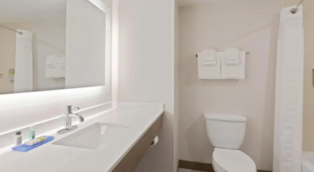 Люкс Holiday Inn Express Hotel & Suites Largo-Clearwater by IHG