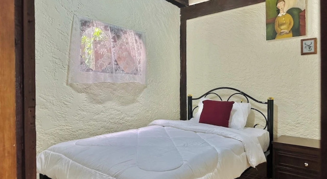 Cozy nest CNX