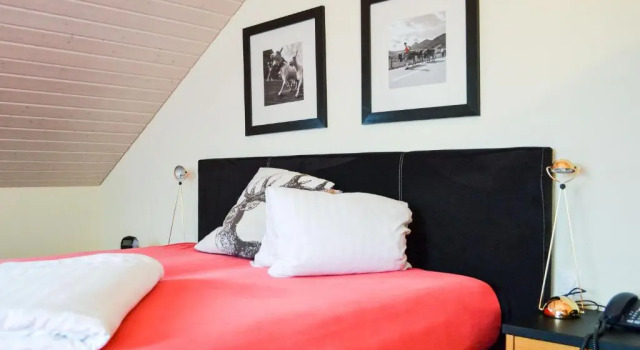 Одноместный номер Economy Hotel Landhaus Säntis Herisau