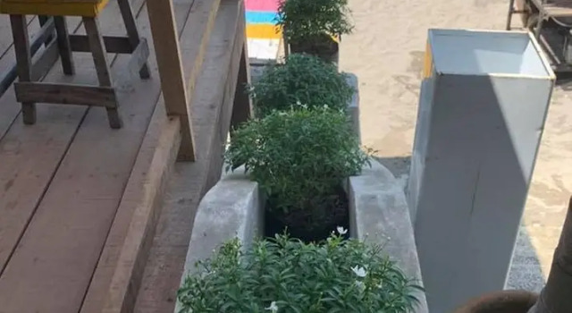 Номер Deluxe Surfers Point Deck