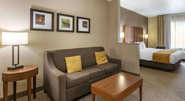 Двухместный номер Standard Comfort Suites Coralville I-80