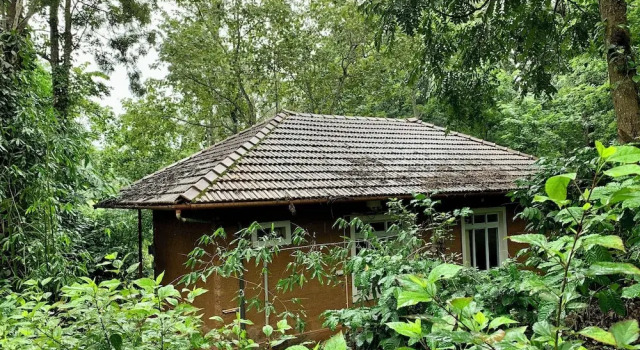 Коттедж Deluxe Thennal Jungle Camp Pvt Ltd