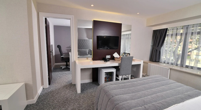 Двухместный люкс SVEO Business Hotel