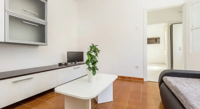 Apartment With Terrace and Pet-friendly
