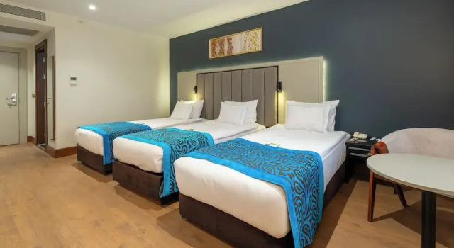 Трёхместный номер Deluxe Отель Teymur Continental Hotel