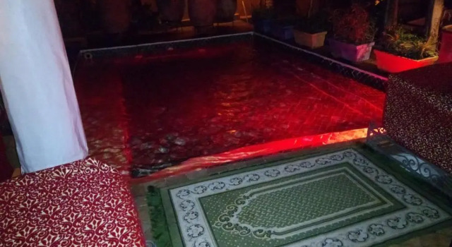Camera Standard Riad Laith