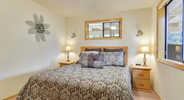 White Elm 28