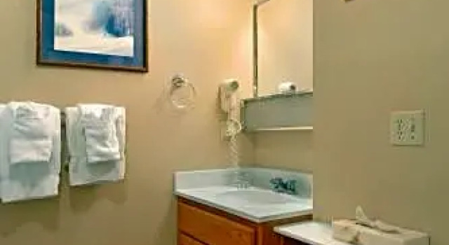 Номер Standard c 1 комнатой Carriage House Condominiums by All Seasons Resort Lodging