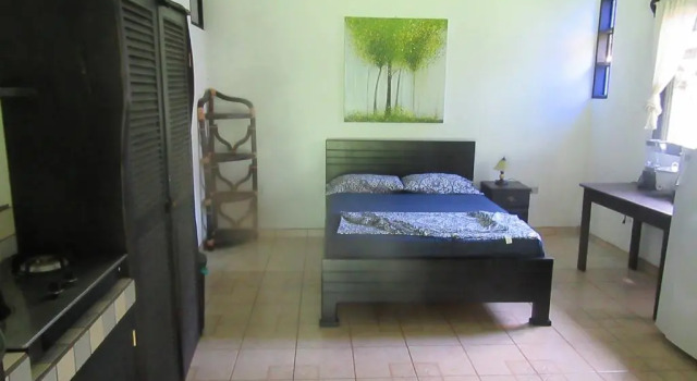 Апартаменты с красивым видом из окна spirit of jungle lodge