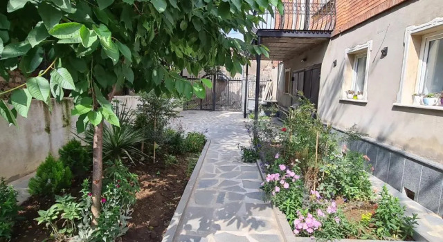 Номер Standard Guest House Panda