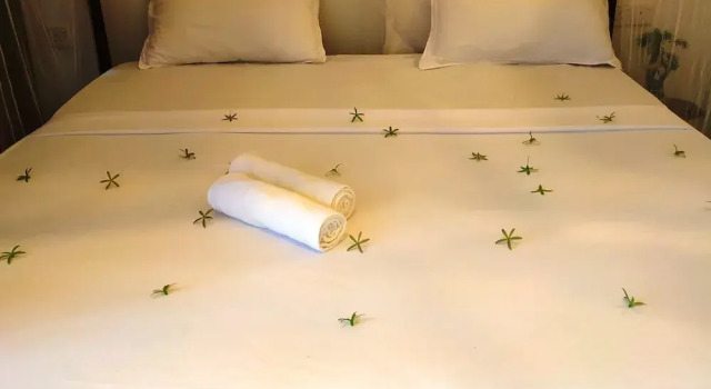 Двухместный номер Deluxe с балконом centerpoint safari resort Udawalawa