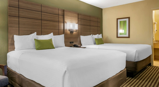 Четырёхместный номер Standard Best Western Downtown Stuart